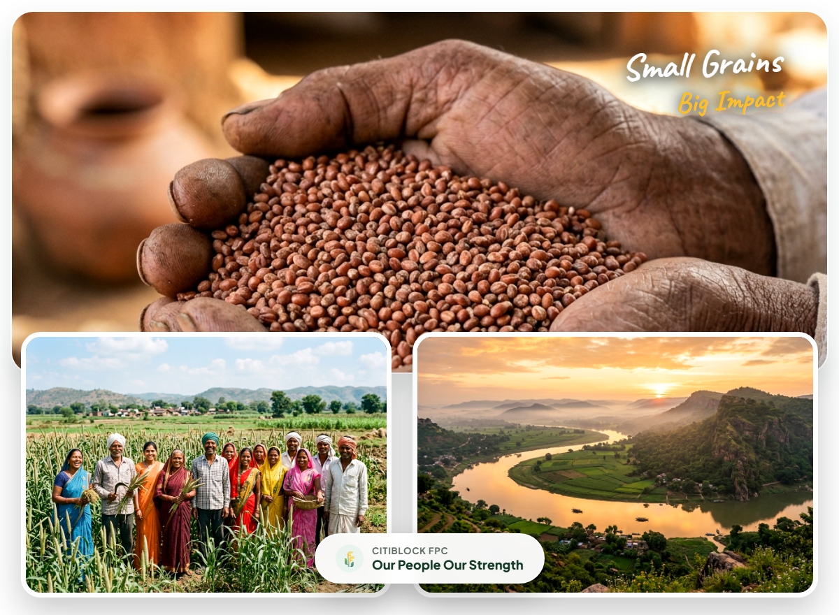 Citiblock FPC millet harvest and 1,500+ local farmers in Mirzapur