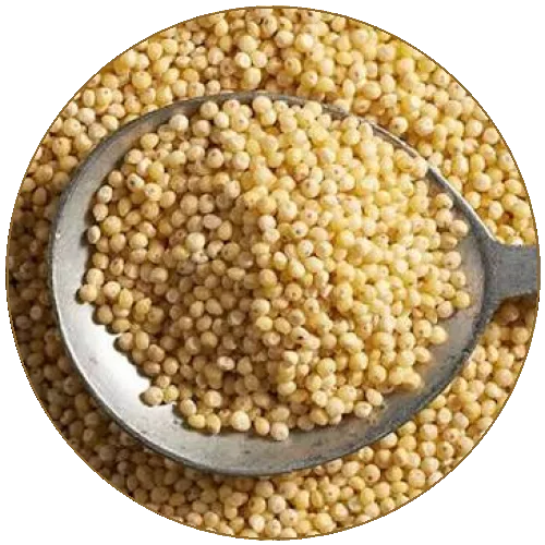 कोदो राइस
